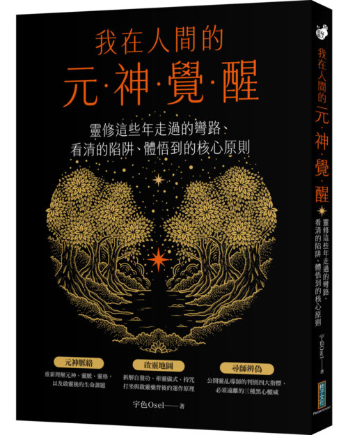 我在人間的元神覺醒：靈修這些年走過的彎路、看清的陷阱、體悟到的核心原則